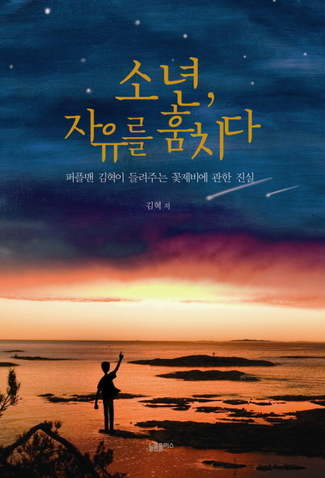소년, 자유를 훔치다 : 퍼플맨 김혁이 들려주는 꽃제비에 관한 진실