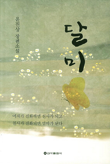 달미 : 윤진상 장편소설