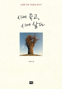 시에 죽고, 시에 살다 : 요절한 천재 시인들을 찾아서 표지 이미지