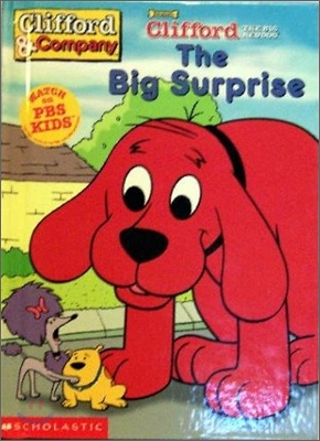 (The)big surprise 표지 이미지