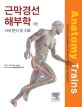 근막경선 해부학 (자세 분석 및 치료)