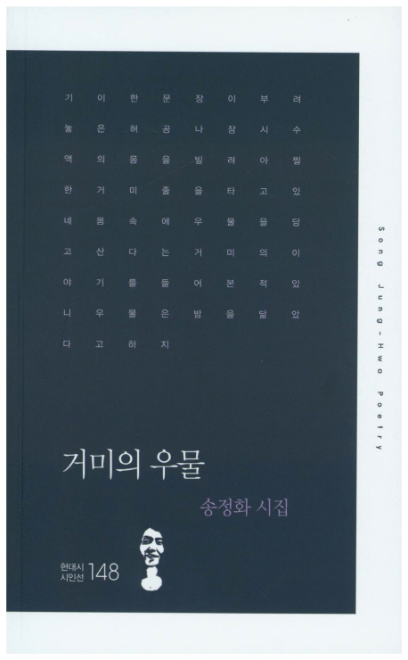 거미의 우물 : 송정화 시집