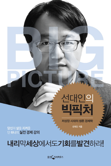 선대인의 빅픽처 : 저성장 시대의 생존 경제학