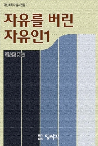 내 영혼의 우물 - [전자책]  : 대산문학상 수상작가 최인석 소설