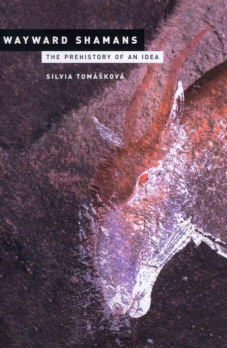 Wayward shamans  - [electronic resource]  : the prehistory of an idea / Silvia Tomáškova...
