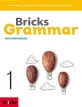 Bricks Grammar 1 (with workbook)