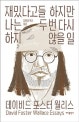 재밌다고들 하지만 나는 두 번 다시 하지 않을 일 (Consider the Lobster and Other Essays)
