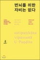 번뇌를 위한 자비는 없다 (우 빤디따 스님의 사띠빠타나 위빠사나 강의)